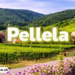 pellela