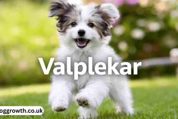 valplekar